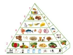 Піраміда харчування