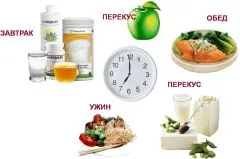 Режим харчування