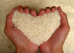 Відгуки про рисової дієти